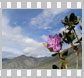 Лучшие фото горы-тайга весна-осень 2005